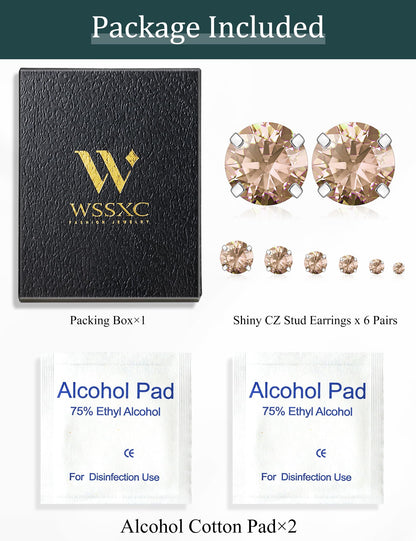 6 Pairs CZ Stud Earrings Set