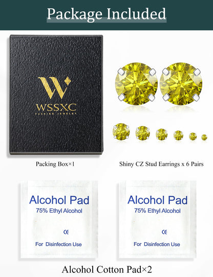 6 Pairs CZ Stud Earrings Set